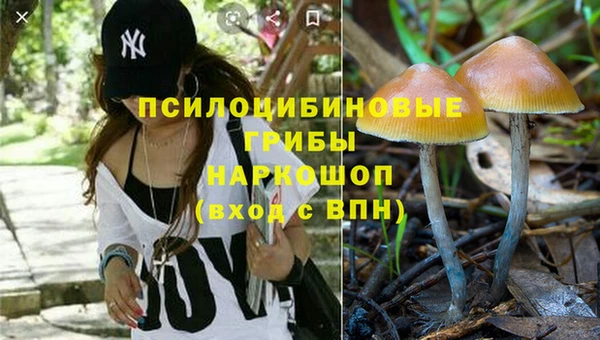 гидропоника Покровск