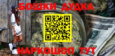 крисы Кингисепп