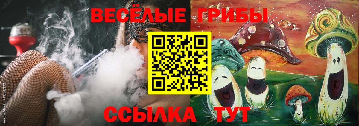 Галлюциногенные грибы мухоморы Протвино